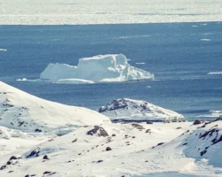Ocean Endeavour, бывший "Константин Симонов", участвует в учениях НАТО byvshij konstantin simonov uchastvuet v ucheniyah nato-t-nw-ru-0