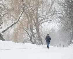 Гидрометцентр: о сильных морозах и скором потеплении в Москве gidrometczentr o silnyh morozah i skorom poteplenii v moskve-t-nw-ru-0
