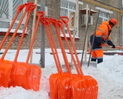 Как Каплан Панеш и Ирина Глазкова защитят права жильцов kak kaplan panesh i irina glazkova zashhityat prava zhilczov-t-nw-ru-0