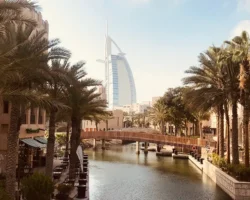 Клопы в отелях: российские туристы в ОАЭ и на Бали столкнулись klopy v otelyah rossijskie turisty v oae i na bali stolknulis-t-nw-ru-0