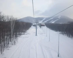 Олег Кожемяко анонсировал школу и объекты на горнолыжке Арсеньева oleg kozhemyako anonsiroval shkolu i obekty na gornolyzhke arseneva-t-nw-ru-0