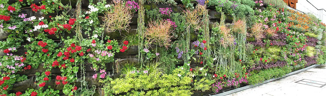 Плимутский университет о живых стенах как факторе биоразнообразия птиц-0