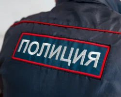 Полиция Чугуевского округа успешно раскрыла серию краж бензопил и триммеров policziya chuguevskogo okruga uspeshno raskryla seriyu krazh benzopil i trimmerov-t-nw-ru-0