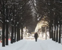 Прогноз морозов для Москвы и Подмосковья составлен станцией ВДНХ prognoz morozov dlya moskvy i podmoskovya sostavlen stancziej vdnh-t-nw-ru-0
