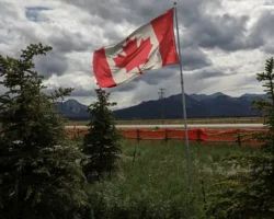 Шансы конфликта США и Канады: эксперты оценили политику Трампа shansy konflikta ssha i kanady eksperty oczenili politiku trampa-t-nw-ru-0