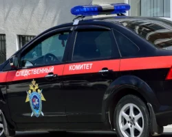 Следственное управление Амурской области расследует дела sledstvennoe upravlenie amurskoj oblasti rassleduet dela-t-nw-ru-0