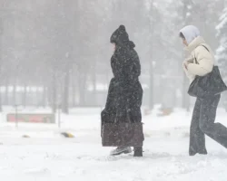 Снегопад в Москве и Подмосковье от циклона «Фрэнсис» стихает, к Крещению ожидается мороз! snegopad v moskve i podmoskove ot cziklona frensis stihaet k kreshheniyu ozhidaetsya moroz-t-nw-ru-0