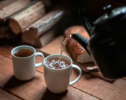 Ученые из Японии: чай из черники с гиперозидом улучшает сон uchenye iz yaponii chaj iz cherniki s giperozidom uluchshaet son-t-nw-ru-0