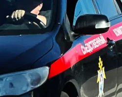 usolczevy rasskazali o novyh detalyah poiskov sergeya iriny i ariny-t-nw-ru-0