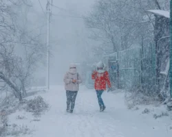 Владивосток и Приморский край готовятся к морозам, но встречают солнце vladivostok i primorskij kraj gotovyatsya k morozam no vstrechayut solncze-t-nw-ru-0