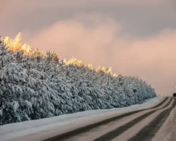 Юлия Финогенова из РЭУ Плеханова предлагает отпуск в феврале yuliya finogenova iz reu plehanova predlagaet otpusk v fevrale-t-nw-ru-0