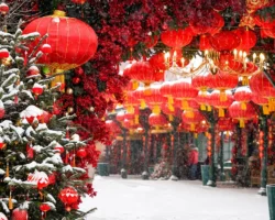 Борис Зак о Китайском Новом годе Огненной Лошади и акциях зоопарка boris zak o kitajskom novom gode ognennoj loshadi i akcziyah zooparka-t-nw-ru-0