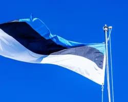 Эстонская власть расколота диалогом с РФ – Карис и Михал не согласны estonskaya vlast raskolota dialogom s rf karis i mihal ne soglasny-t-nw-ru-0