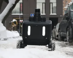 gibdd i robodostavka  sluchaj s robotamikurerami v moskve-t-nw-ru-0