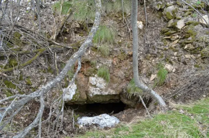 igm so ran uspeshno primenyaet gazorttutnyj metod poiska zolota-t-nw-ru-0