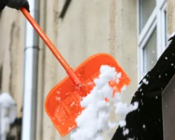 Ирина Волк из МВД предупреждает о новых схемах мошенников irina volk iz mvd preduprezhdaet o novyh shemah moshennikov-t-nw-ru-0