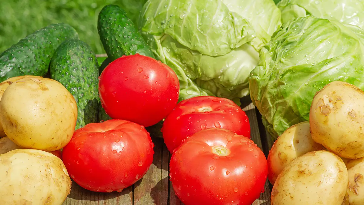 Кому может навредить вегетарианство