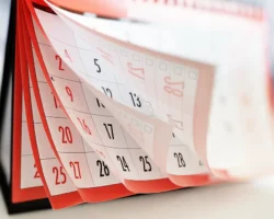 Ольга Чирикова РЭУ: полезные советы для увеличения мартовского отдыха olga chirikova reu poleznye sovety dlya uvelicheniya martovskogo otdyha-t-nw-ru-0