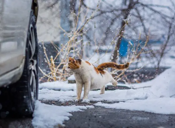 Фото: primamedia.ru