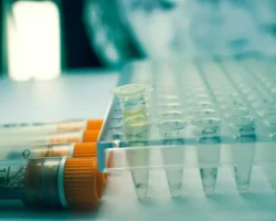 РГУ Губкина и Михаил Ершов создали биотопливо FAME по ISO 8217-2024 rgu gubkina i mihail ershov sozdali biotoplivo po 82172024-t-nw-ru-0