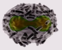 Роспотребнадзор контролирует ситуацию с оспой обезьян в Подмосковье rospotrebnadzor kontroliruet situacziyu s ospoj obezyan v podmoskove-t-nw-ru-0