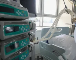 Роспотребнадзор подтвердил первый случай оспы обезьян в Подмосковье rospotrebnadzor podtverdil pervyj sluchaj ospy obezyan v podmoskove-t-nw-ru-0