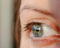 Синдром сухого глаза в Тайване — ранний признак аутоиммунных болезней sindrom suhogo glaza v tajvane rannij priznak autoimmunnyh boleznej-t-nw-ru-0