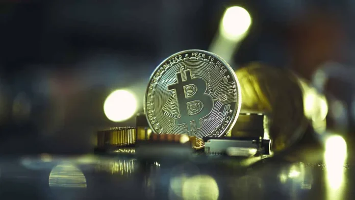 gosduma rassmotrit zapret i bitkoina mneniya brisova i loseva-t-nw-ru-0