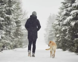 Холод влияет на инфаркт и инсульт – есть новые надежды holod vliyaet na infarkt i insult est novye nadezhdy-t-nw-ru-0