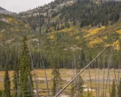 МГУ и РНФ 30 лет изучали рост тундр подтвердив изменения климата mgu i rnf 30 let izuchali rost tundr podtverdiv izmeneniya klimata-t-nw-ru-0