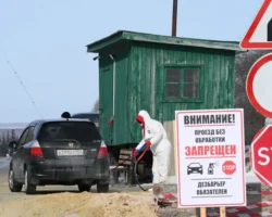 minselhoz profinansiruet mery protiv beshenstva i pasterellyoza-t-nw-ru-0