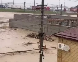 muzhestvennoe spasenie devochki abdurahmanom abdurahmanovym v mahachkale-t-nw-ru-0