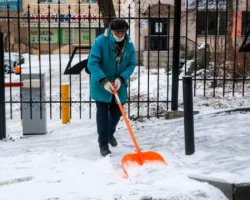 Прокуратура Приморья приняла меры против Олега Бондарева и других prokuratura primorya prinyala mery protiv olega bondareva i drugih-t-nw-ru-0