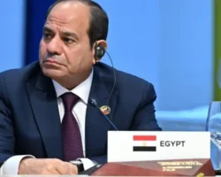 Путин и ас-Сиси обсудили перспективы для Египта и РФ putin i assisi obsudili perspektivy dlya egipta i rf-t-nw-ru-0