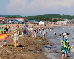 arbitrazhnyj sud primorya rassmotrit delo ooo shamora u buhty-t-nw-ru-0