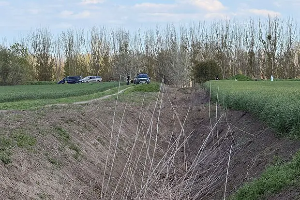 Вводная картинка