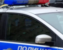 gibdd zelenograda malchik i traktor  pozitivnye peremeny-t-nw-ru-0