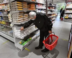 gosduma i fas vmeste boryutsya za stabilnye czeny na yajcza-t-nw-ru-0