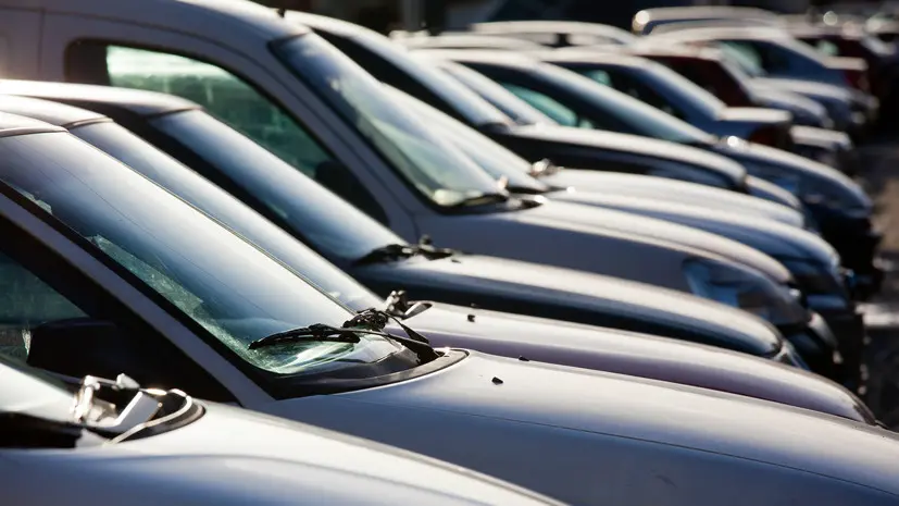 Дистрибутор Tenet в 2025 году получил убыток 8,7 млрд рублей