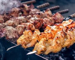 inga kolesnik i oksana mihaleva rasskazali pro bezopasnyj shashlyk-t-nw-ru-0