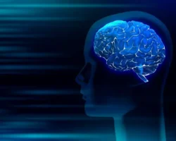 model iczig so ran dlya sinapsov nejronov pomozhet ponyat autizm-t-nw-ru-0