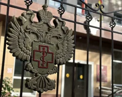 murom preodolel kishechnyj krizis odobril rospotrebnadzor-t-nw-ru-0