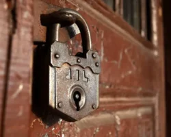 mvideo i onlajnritejlery  novaya realnost rossijskogo rynka-t-nw-ru-0