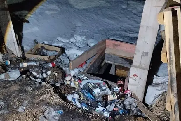 Вводная картинка