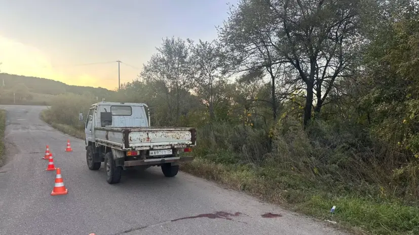 В Приморье водитель грузовика получил срок за гибель выпавшей из кузова девочки