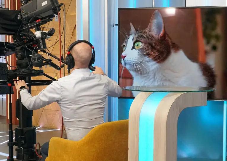 PetTV от Tencent: ТВ для питомцев в Китае с оптимизмом-0