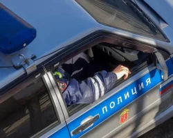 peterburzhenka s detmi i policziej na vechere neobychnyh igrushek-t-nw-ru-0