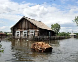 Шамиль и Сулейман Керимов: героизм, вдохновляющий Дагестан shamil i sulejman kerimov geroizm vdohnovlyayushhij dagestan-t-nw-ru-0