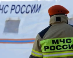 sledstvennyj komitet i lizaalert spasli devochku eto radostnye itogi-t-nw-ru-0