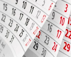 svetlana bessarab iz gosdumy rasskazala ob otdyhe v 2026 godu-t-nw-ru-0